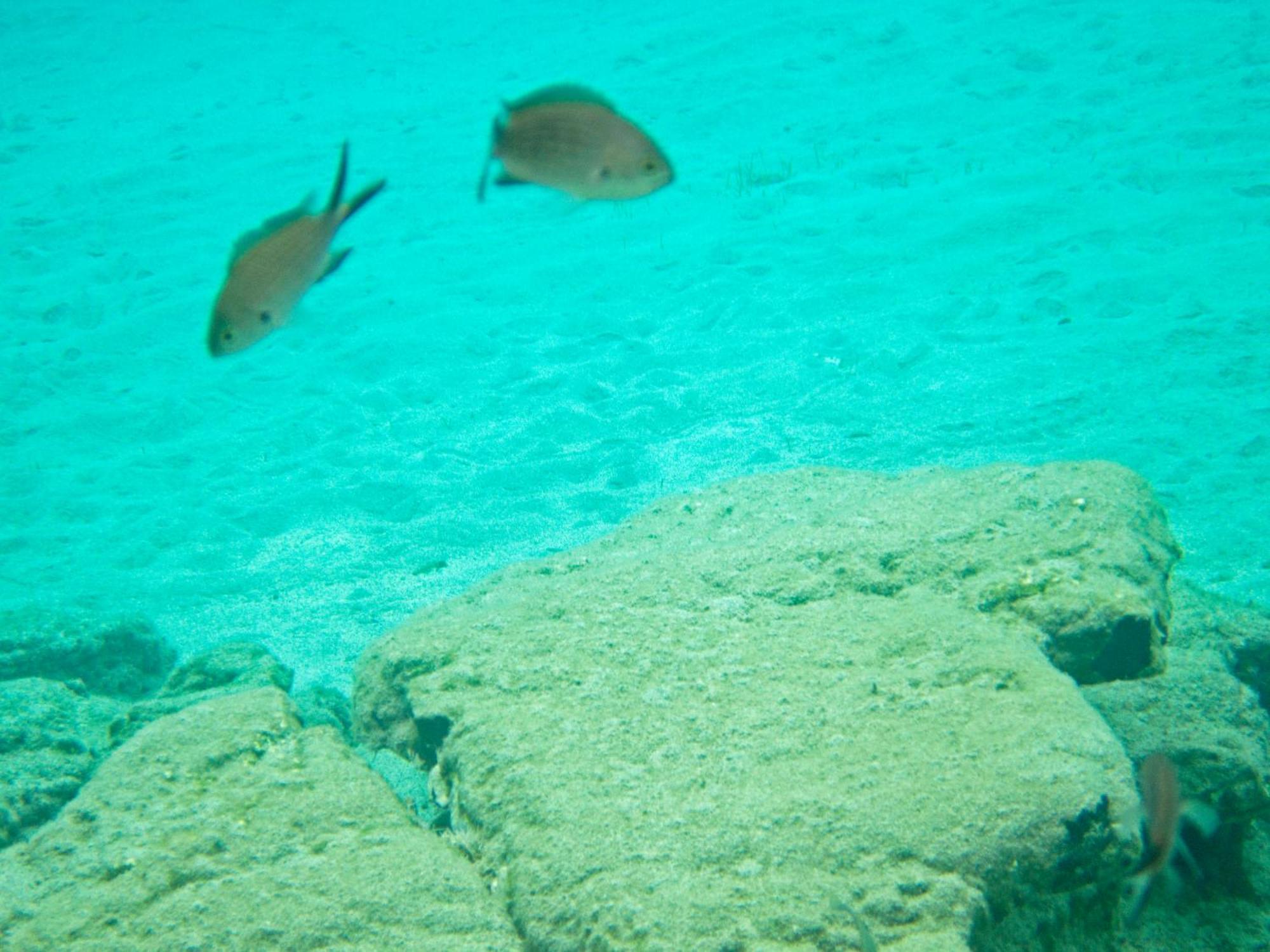 Island * Eloúnda